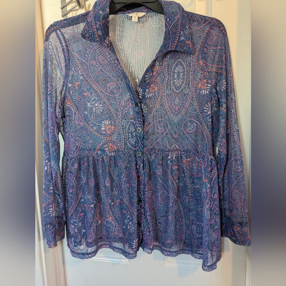 Terra & Sky Blue and Pink Paisley Sheer Button-Front Blouse